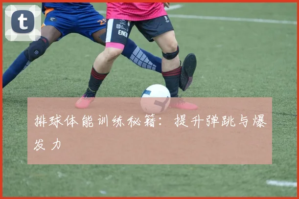 排球体能训练秘籍：提升弹跳与爆发力