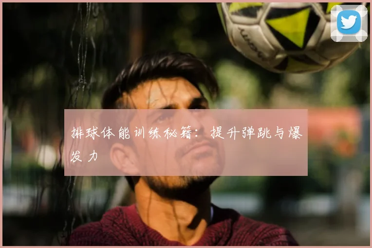 排球体能训练秘籍：提升弹跳与爆发力